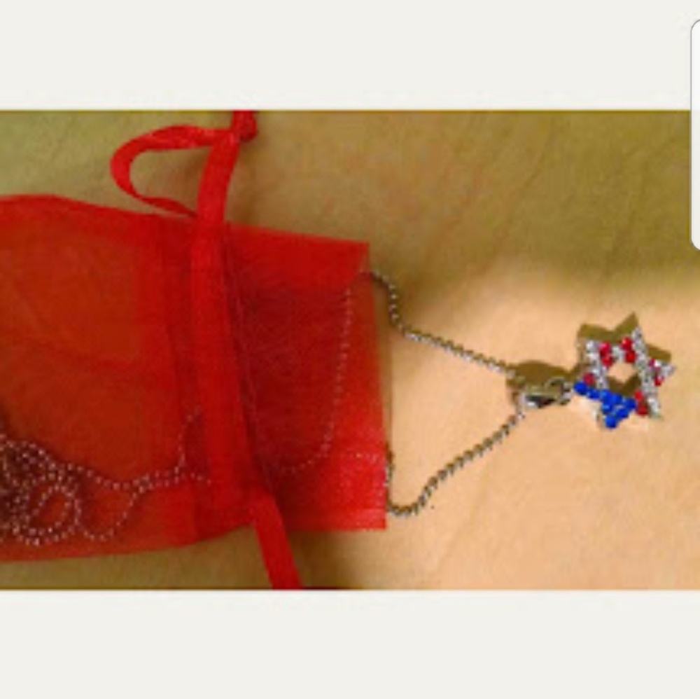 Jewish American Flag Star Necklace